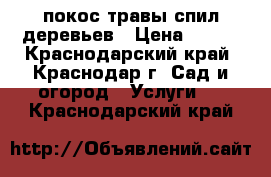 покос травы спил деревьев › Цена ­ 100 - Краснодарский край, Краснодар г. Сад и огород » Услуги   . Краснодарский край